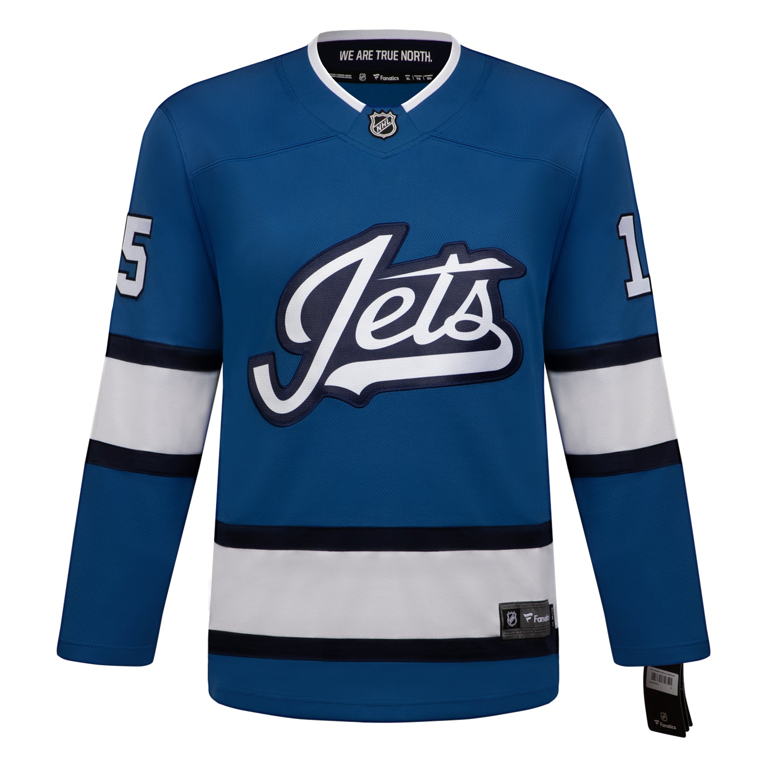 AJ Sports | Anders Hedberg Signed Winnipeg Jets Alternate Aviator