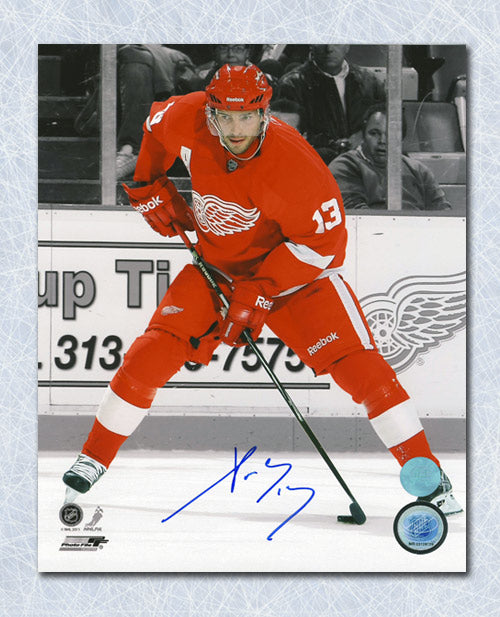 Pavel Datsyuk Detroit Red Wings Autographed Spotlight 8x10 Photo | AJ Sports.