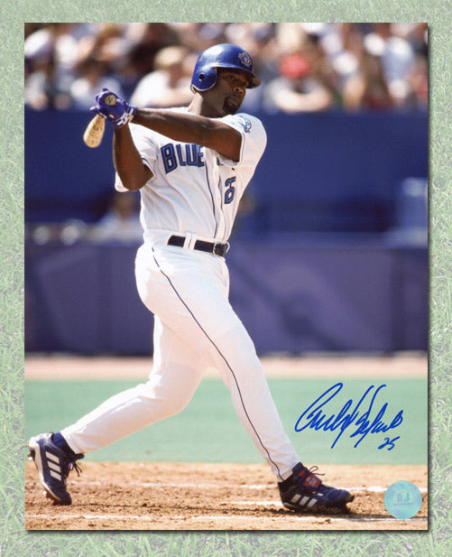 Carlos Delgado Toronto Blue Jays Autographed Baseball 8x10 Photo | AJ Sports.