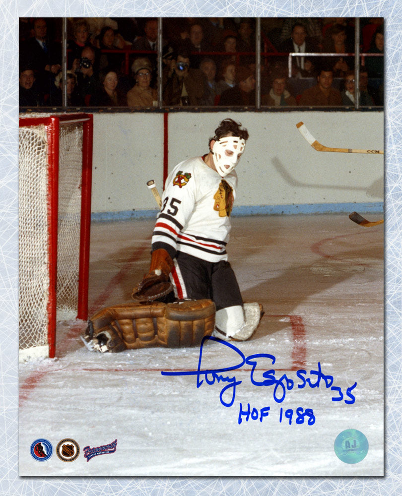 Tony Esposito Chicago Blackhawks Autographed Butterfly Save Goalie 8x10 Photo | AJ Sports.