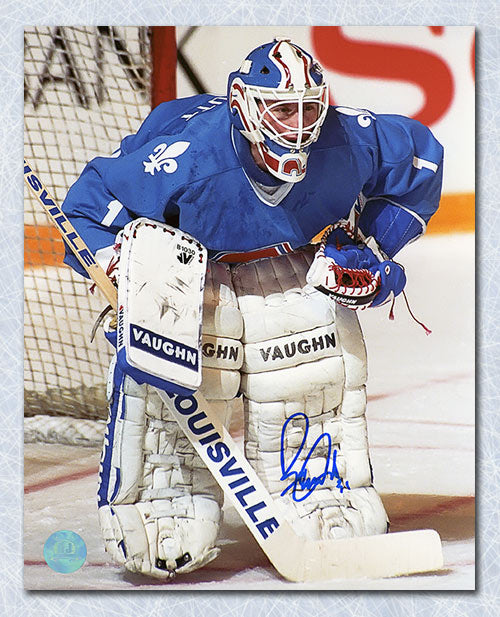 Ron Tugnutt Quebec Nordiques Autographed Goalie 8x10 Photo | AJ Sports.