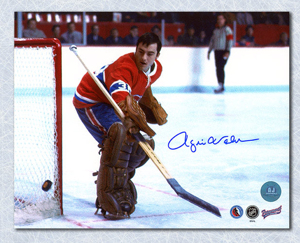 Rogie Vachon Montreal Canadiens Autographed Goalie 8x10 Photo | AJ Sports.